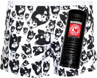 D�msk� boxerky Represent Panda party R7W-BOX-0402