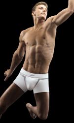 P�nsk� boxery DIM 6562 DIMENSION BOXER