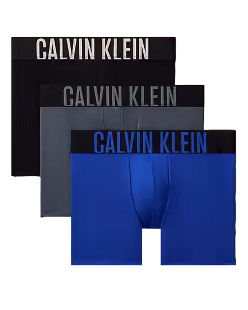 Pánské boxery Calvin Klein NB3612 BOXER BRIEF