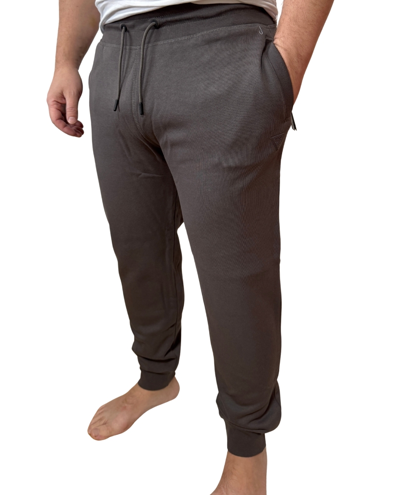 Pánské tepláky Guess Aldwin Z2YB22 | šedá | L