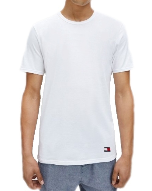 Levně Pánské triko Tommy Hilfiger UM0UM03157 - 2 kusy