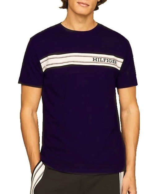 Levně Pánské triko Tommy Hilfiger UM0UM03196 modré