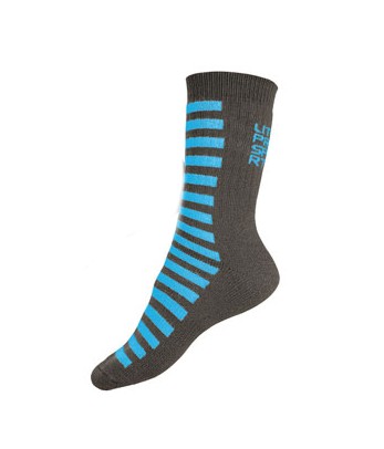 Levně Termo ponožky Litex 9A011